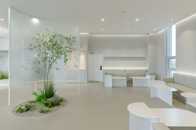 Bright patient lounge with an indoor tree and built-in seating