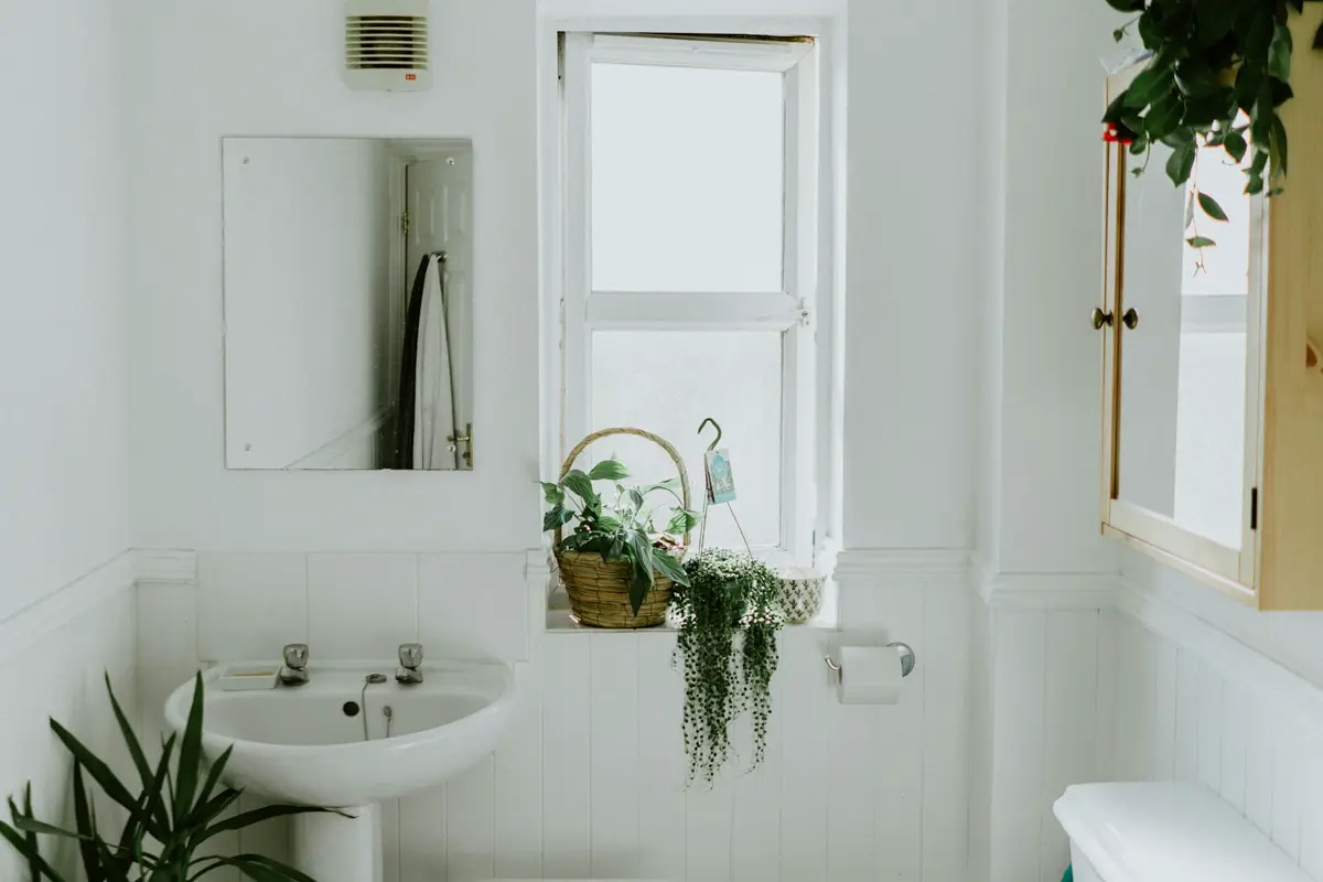 A small white bathroom with a pedestal sink, a toilet, black and white tile and plants in the window