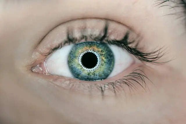 Close-up of a green eye